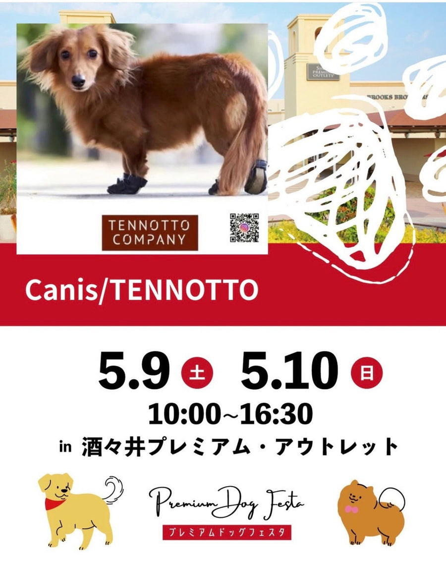プレミアムドックフェスタ in 酒々井