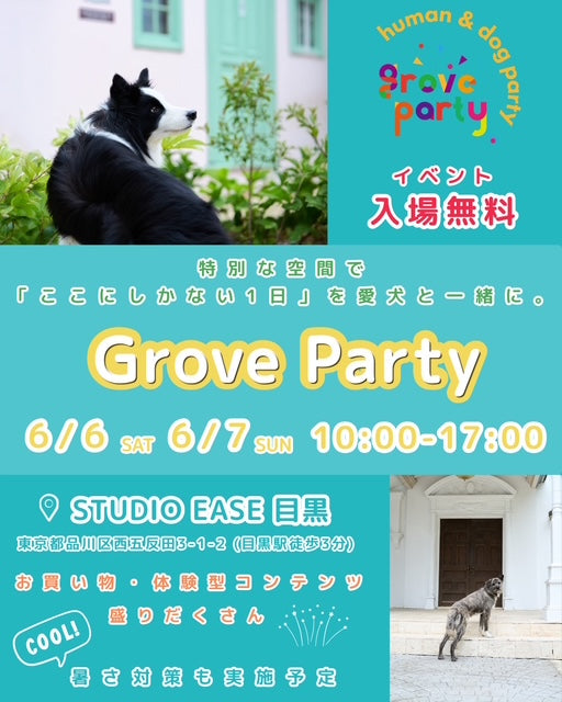 Grove Party in STUDIO EASE 目黒