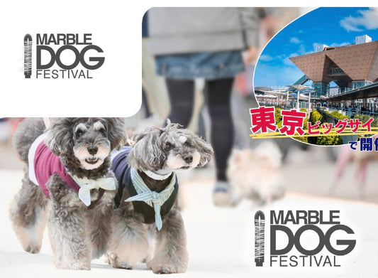マーブルドッグフェスティバル2026 in 東京ビックサイト