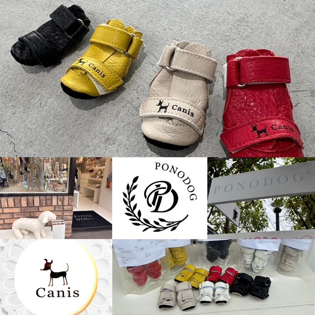 PONODOG&(自由が丘)試着＆販売会