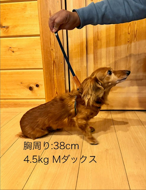 Canis Leater Harness