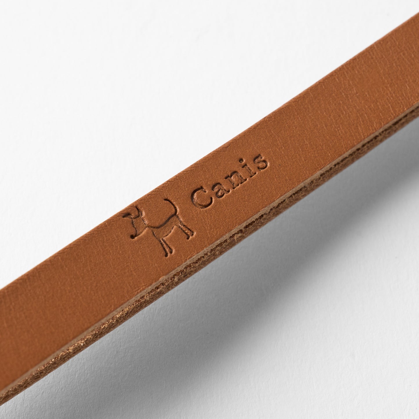 Canis Braid Collar (首輪)