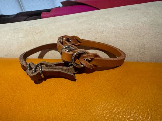 Canis Braid Collar (首輪)