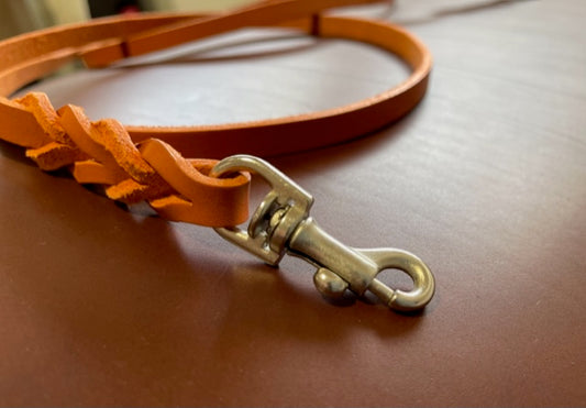 Canis Leater Lead