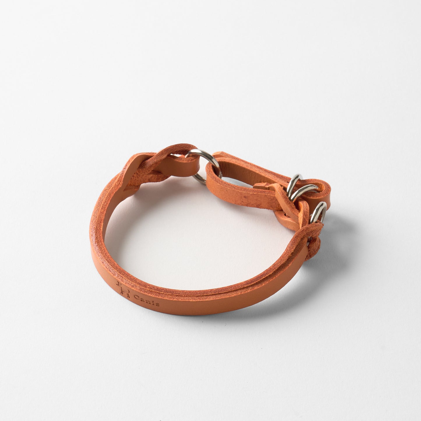 Canis Braid Collar (首輪)