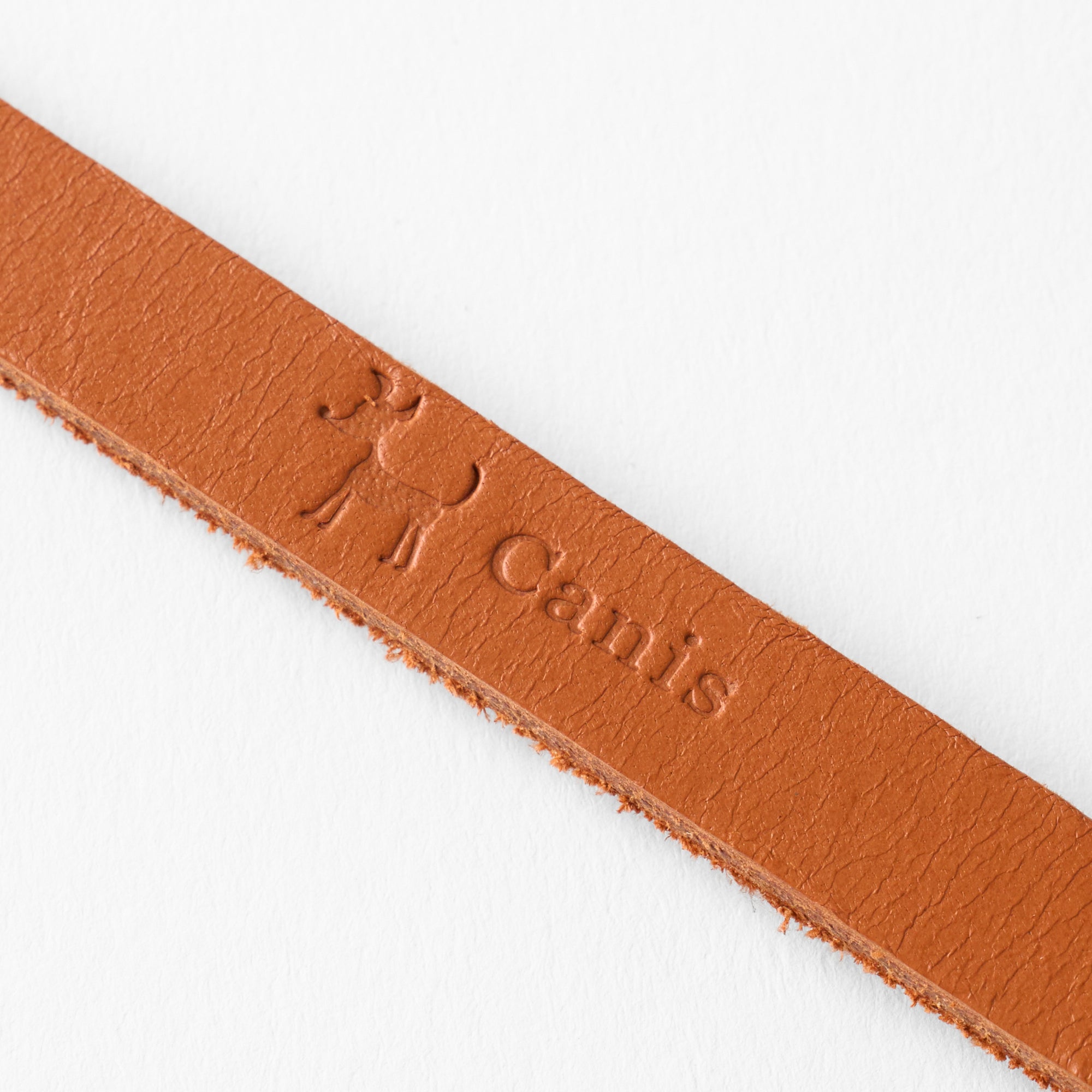 Canis Leather Lead｜犬用本革リード｜イタリアンバケッタレザー