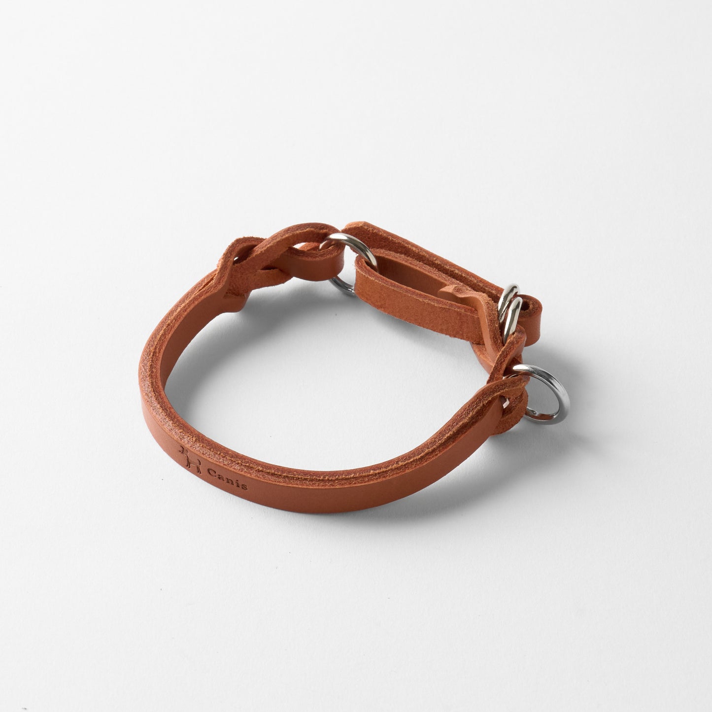 Canis Braid Collar (首輪)