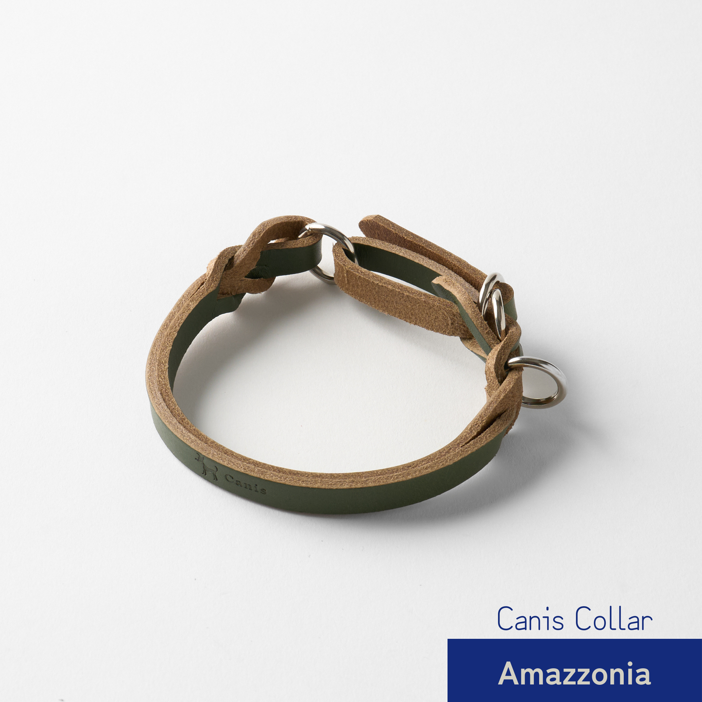 Canis Braid Collar (首輪)