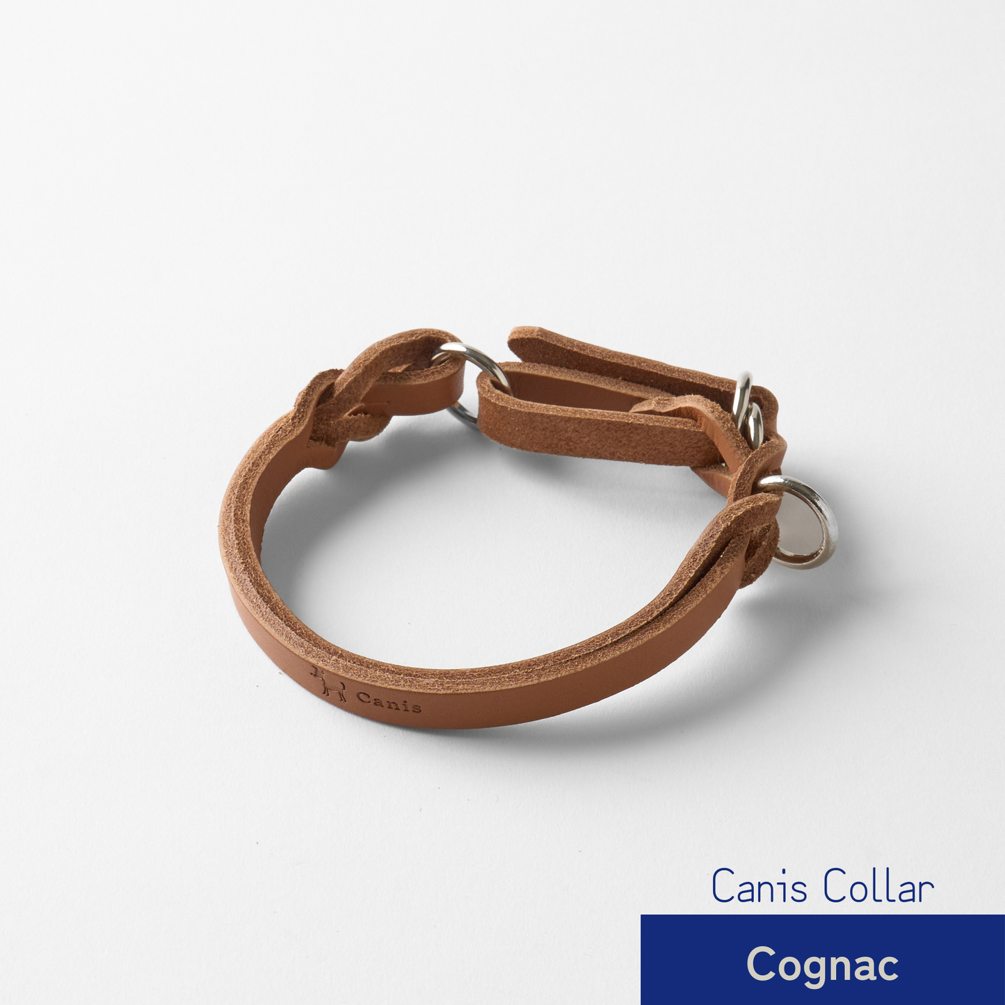 Canis Braid Collar (首輪)