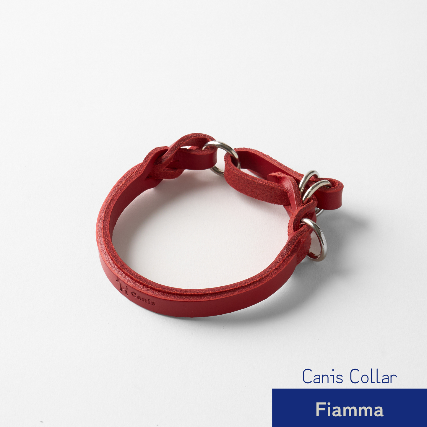 Canis Braid Collar (首輪)