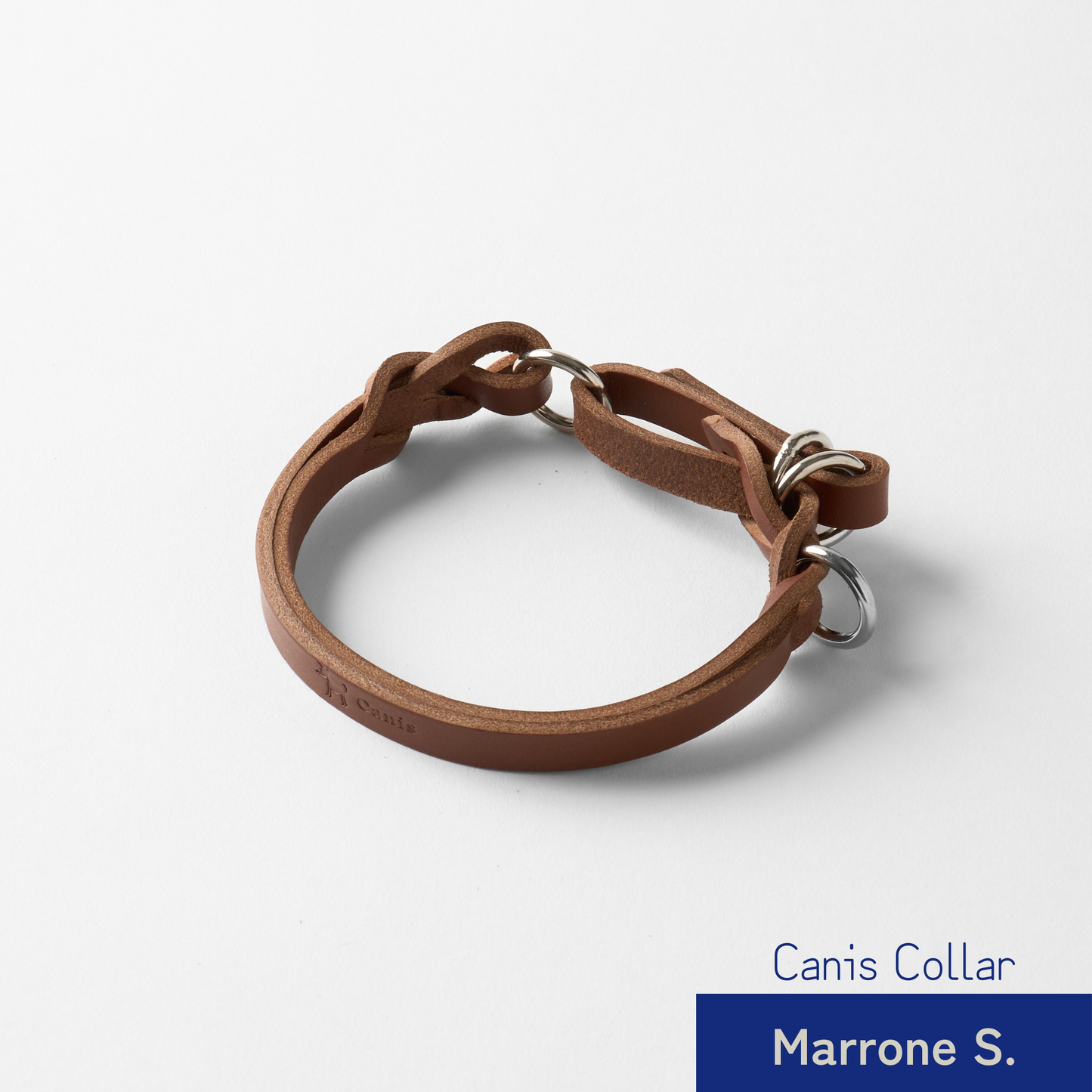 Canis Braid Collar (首輪)