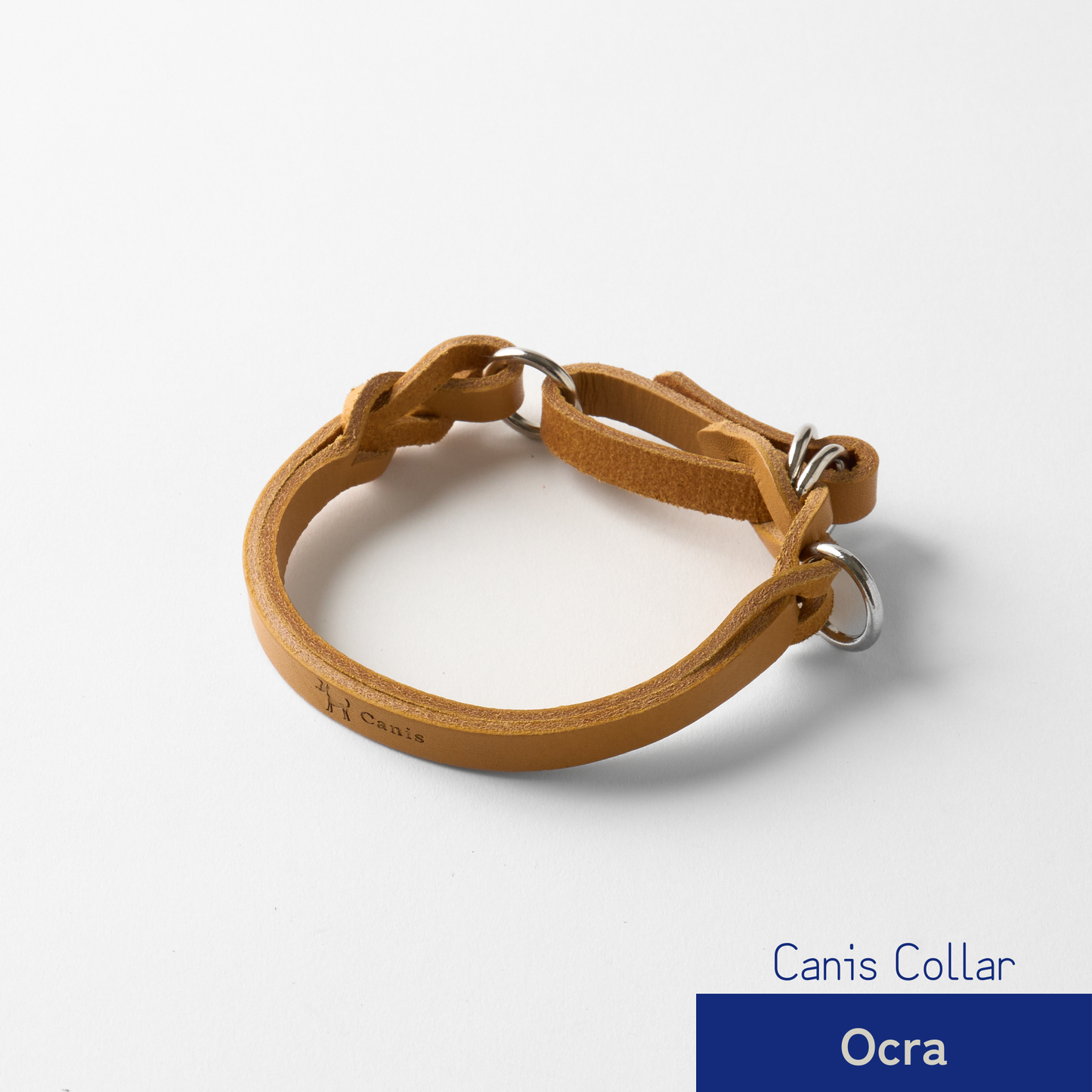 Canis Braid Collar (首輪)