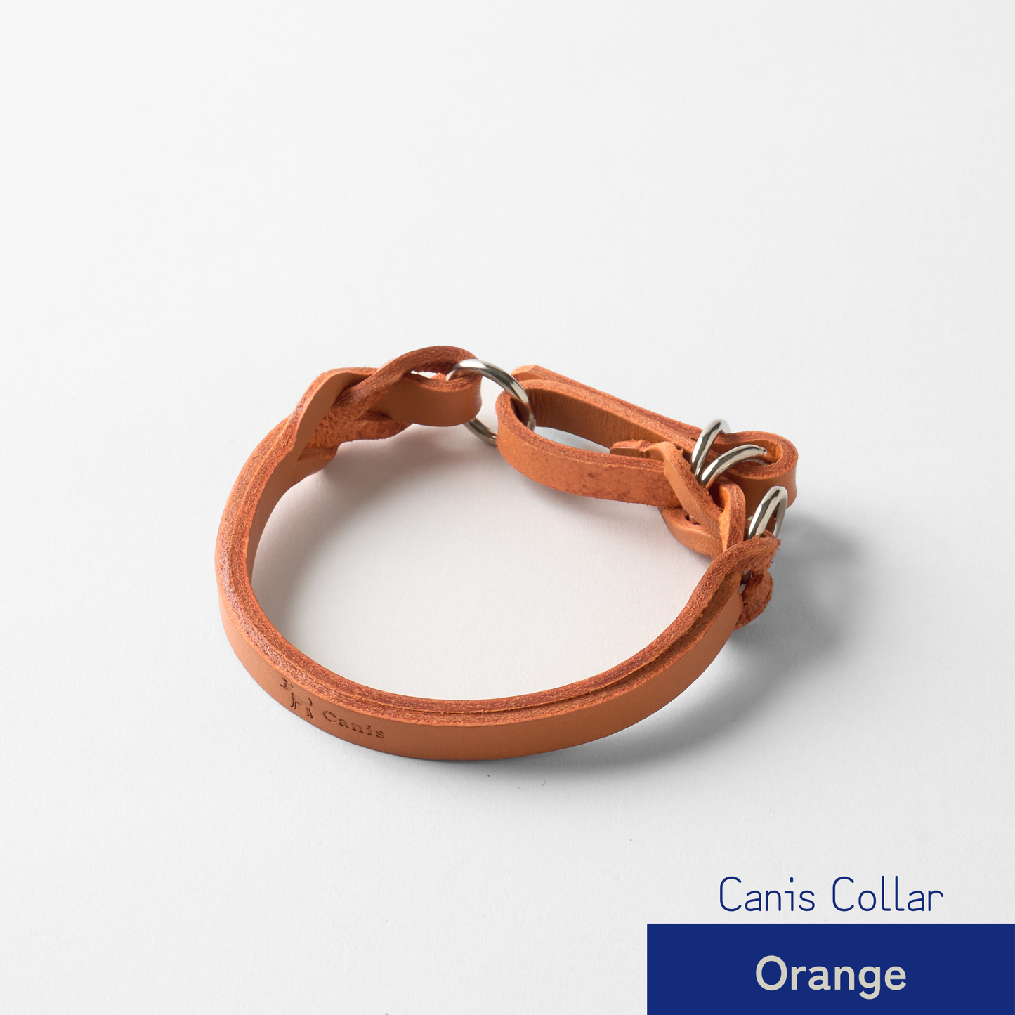 Canis Braid Collar (首輪)