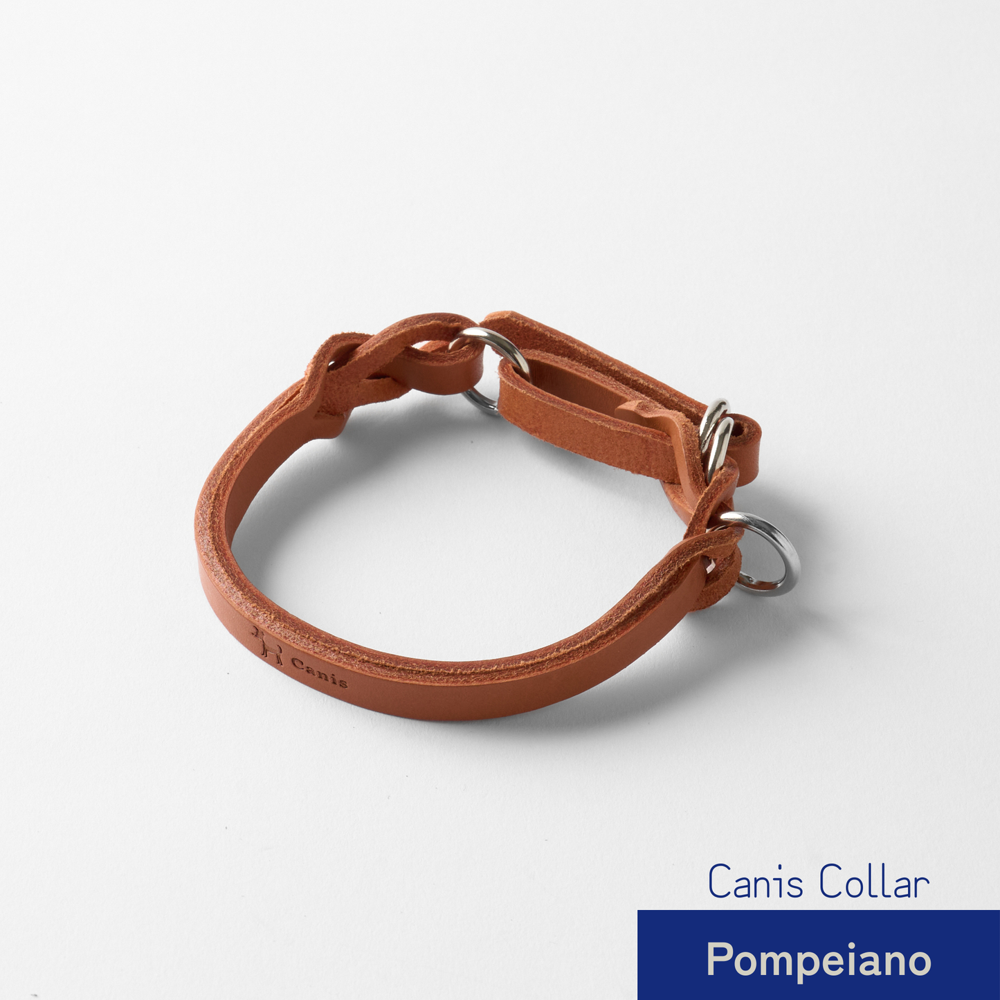 Canis Braid Collar (首輪)