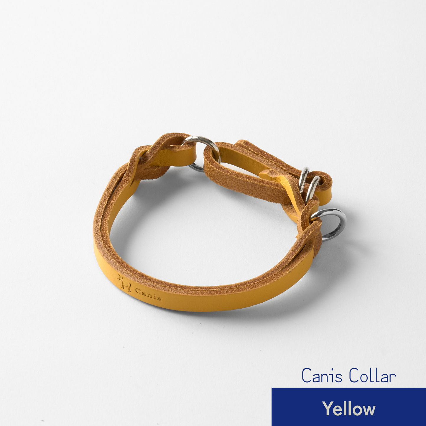 Canis Braid Collar (首輪)